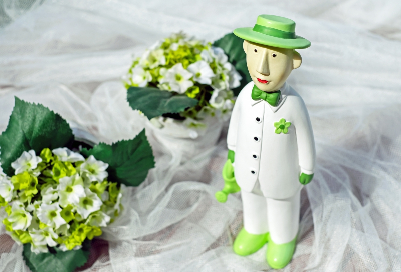 boutique-PEYMEINADE-min_man-person-flower-green-toy-fig-546529-pxhere.com